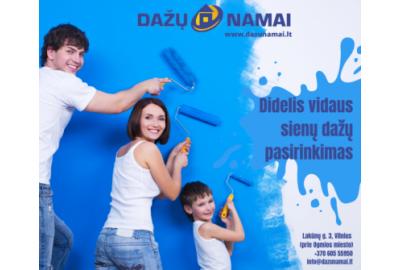 Profesionalūs dažai ir sprendimai jūsų projektams