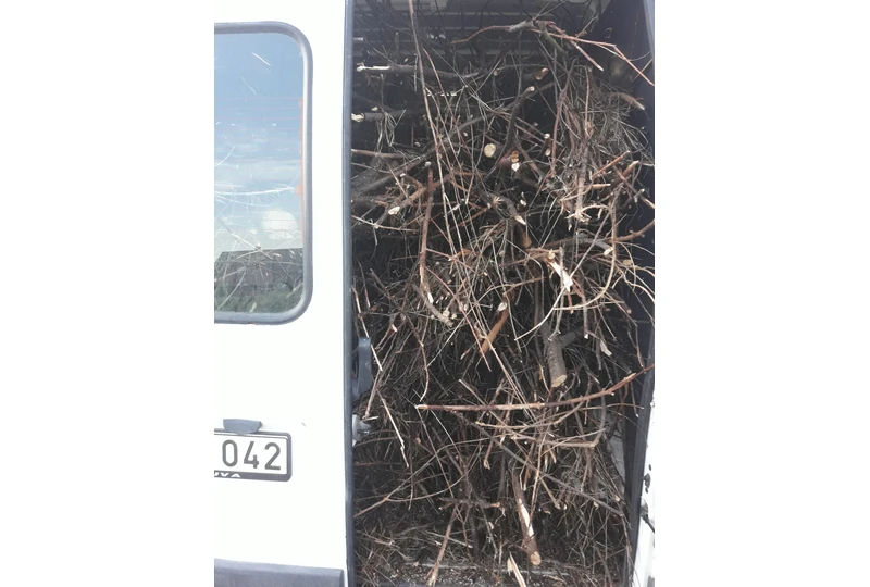 Nemokamos malkos šildymui – Klaip?dos reg.||Sakos ir malkos nemokamai – Kretinga, Palanga||Nemokamai atiduodu šakas k?renimui – Garždai