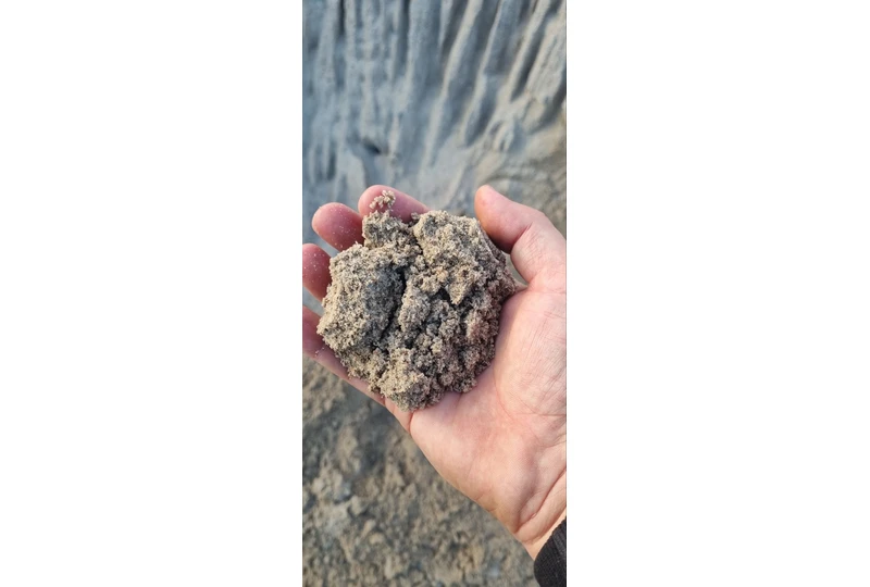 Sijotas plautas sm?lis vejai 0-2mm||Pristatymas iki 12 kub? - Palanga, Klaip?da||Skambinkite +37069244224 - lyginkite vej?