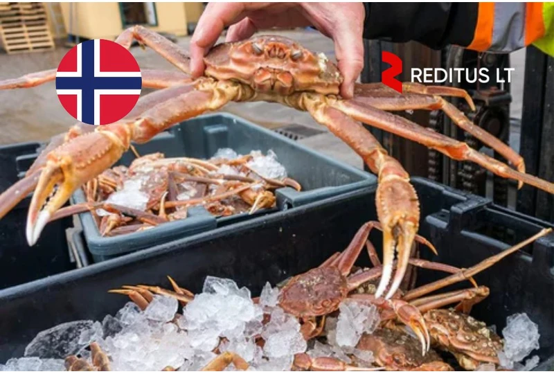Trumpalaikis darbas Norvegijoje su ilgalaike galimybe||Dirbkite krabų fabrike Vardø nuo gruodžio||Darbas pamainomis su galimybe pasilikti ilgam||Darbas žuvies fabrike su nemokama gyvenviete||Užsidirbkite Norvegijoje snieginių krabų apdirbime