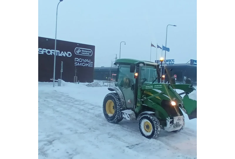 Krūmų kirtimas ir miško valymas