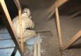 Natūrali ir ekologiška šiltinimo medžiaga Kretingoje