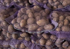 Šviežios bulv?s nuo 20 ct
