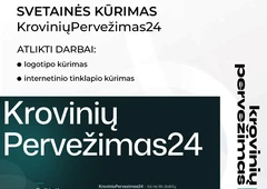 Profesionali svetaini? optimizacija paieškos sistemoms