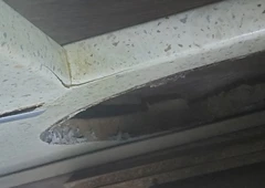 Kokybiškas medis – 20€/m²
